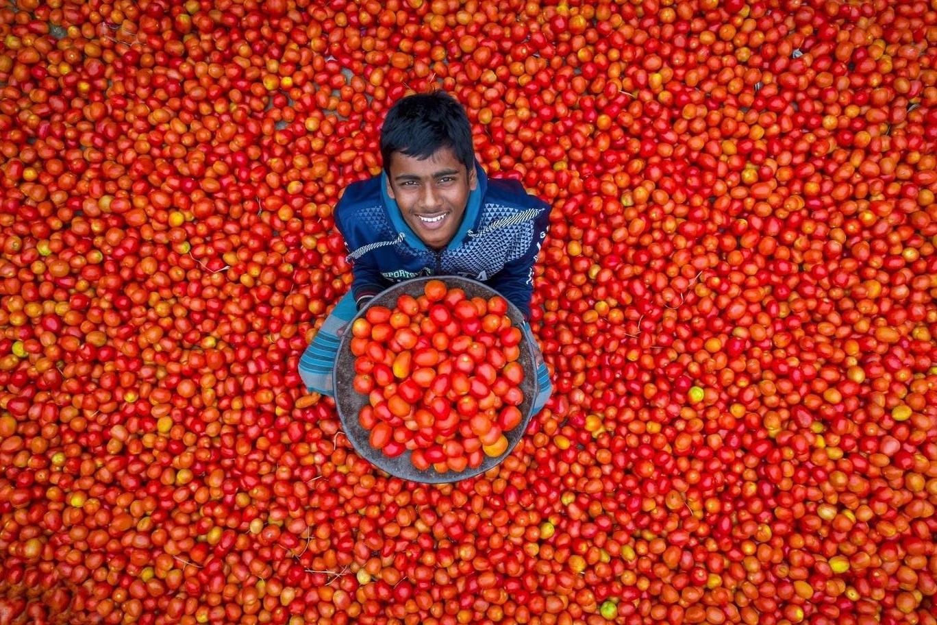 Anh thu hoach nong san phat ra tieng cuoi tai Bangladesh hinh anh