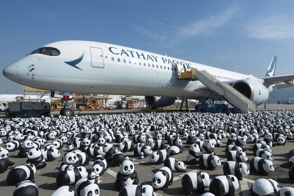 2.500 gau truc lap day san bay Hong Kong hinh anh