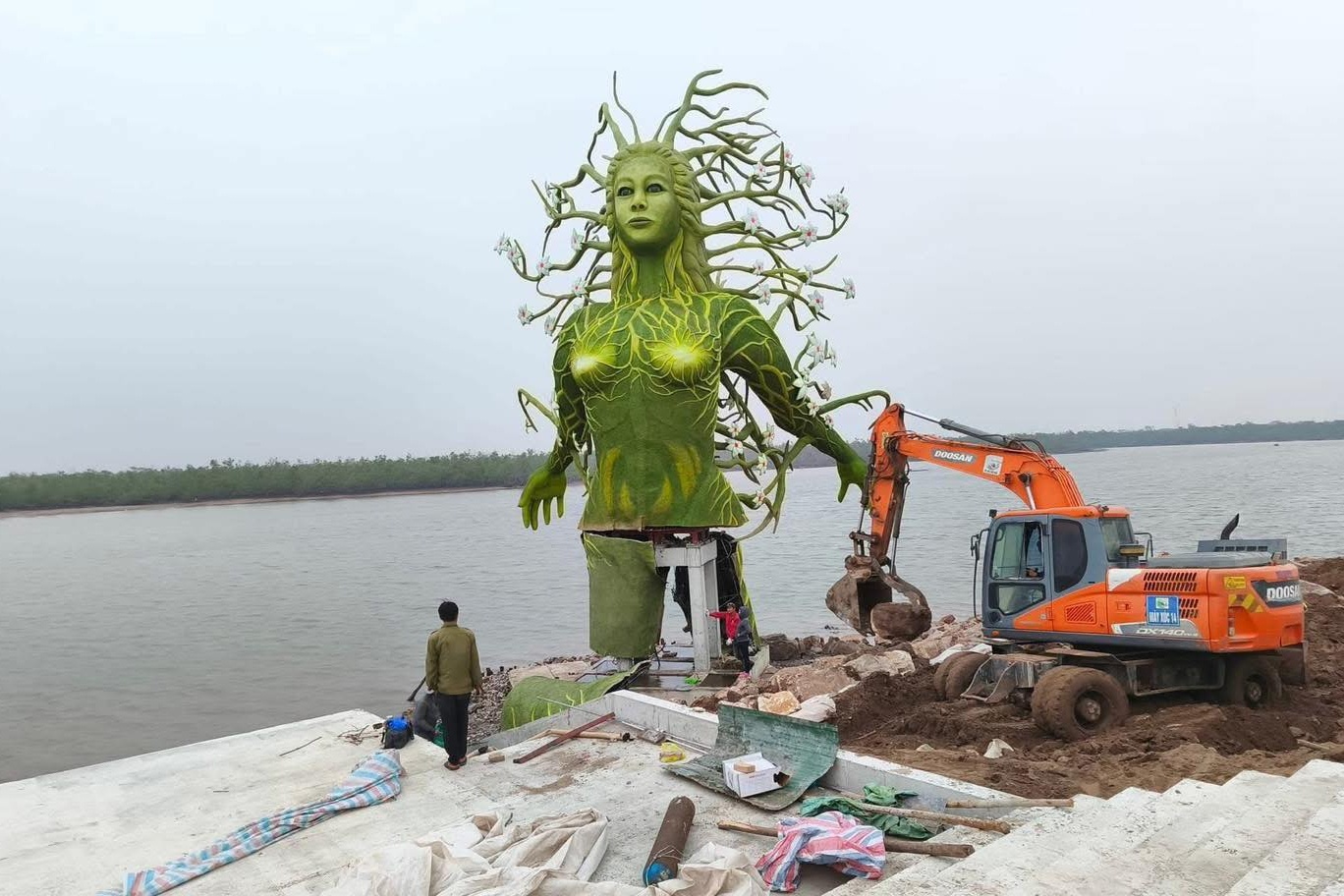 Tuong 'doc la' bat ngo xuat hien o Do Son hinh anh