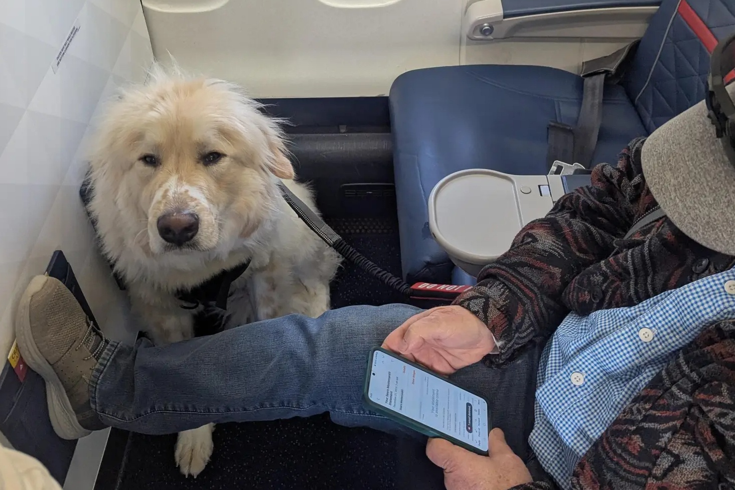 Phan no vi phai nhuong ghe hang nhat cho cho hinh anh