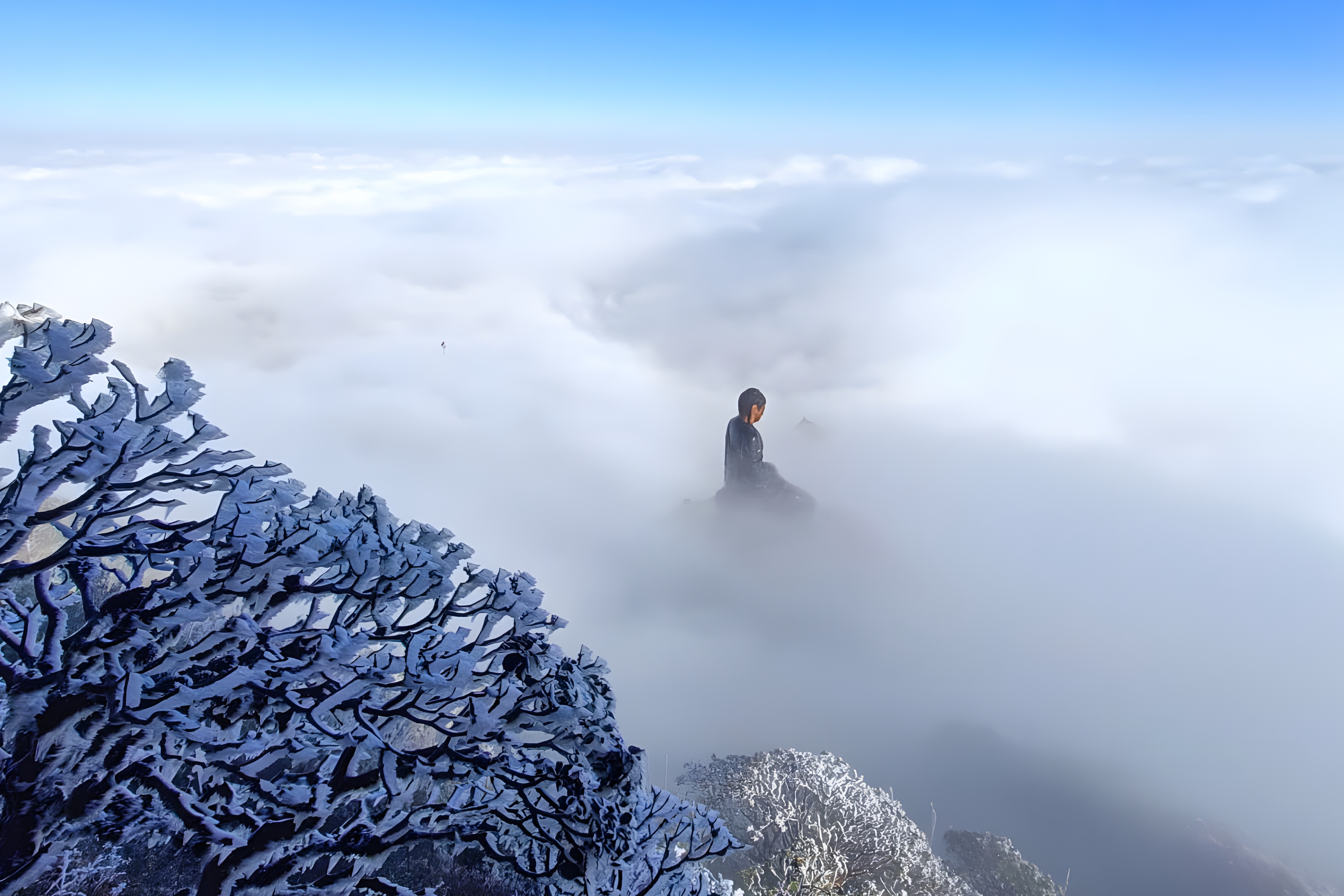 Bang gia phu kin dinh Fansipan hinh anh