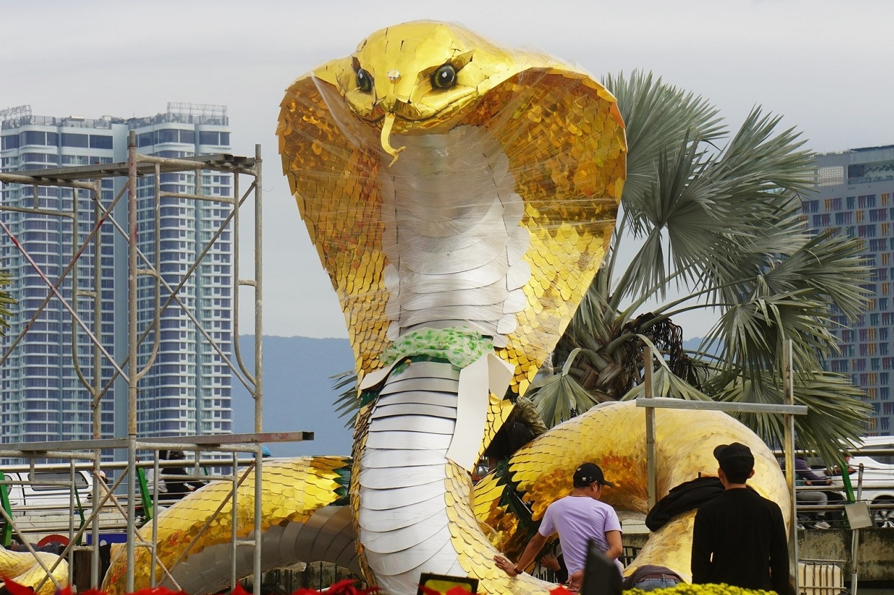 Do xo xem linh vat ran long lay o Da Nang hinh anh