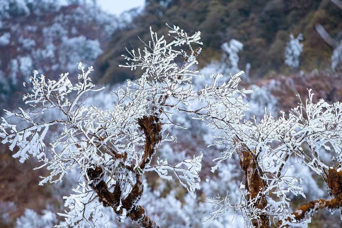 Bang tuyet phu trang nui cao Mu Cang Chai hinh anh