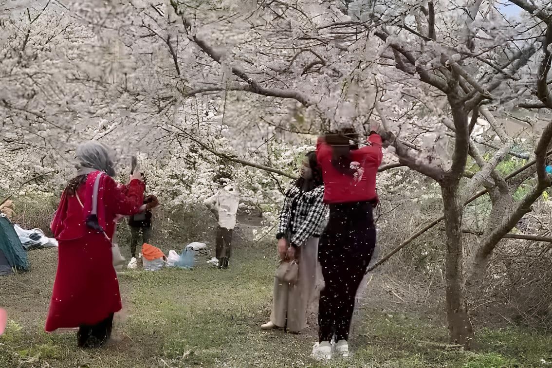 Khach gong suc rung canh hoa man de 'song ao' o Lao Cai hinh anh