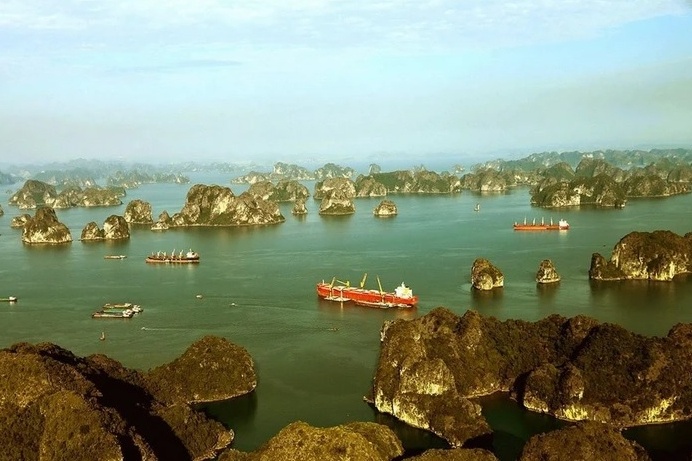 Chua cap phep 'tiec tung' trong hang dong tren vinh Bai Tu Long hinh anh