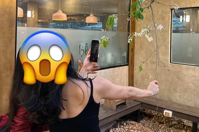 Khach niu canh, be hoa sua 'song ao' tai quan ca phe Ha Noi hinh anh