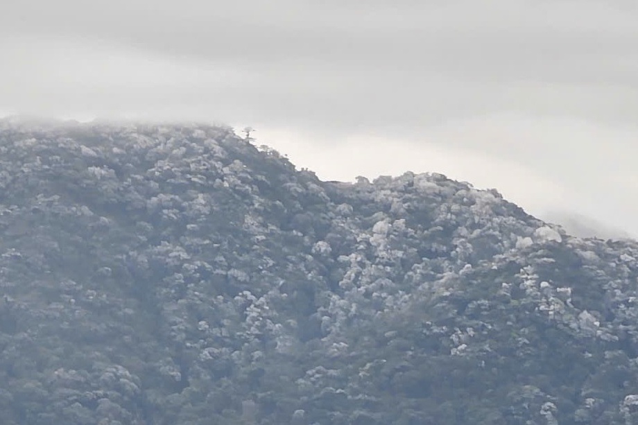 Giua thang 3 dinh Ta Xua phu kin bang tuyet chua tung co hinh anh