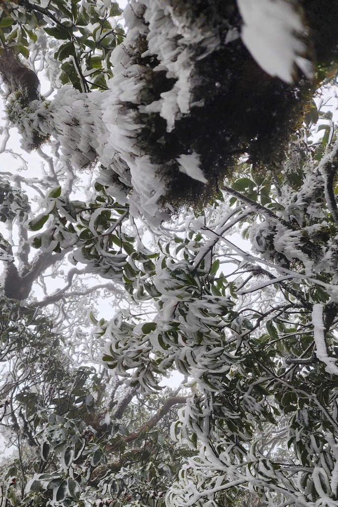 Tà Xùa ảnh 1 Ta Xua anh 1