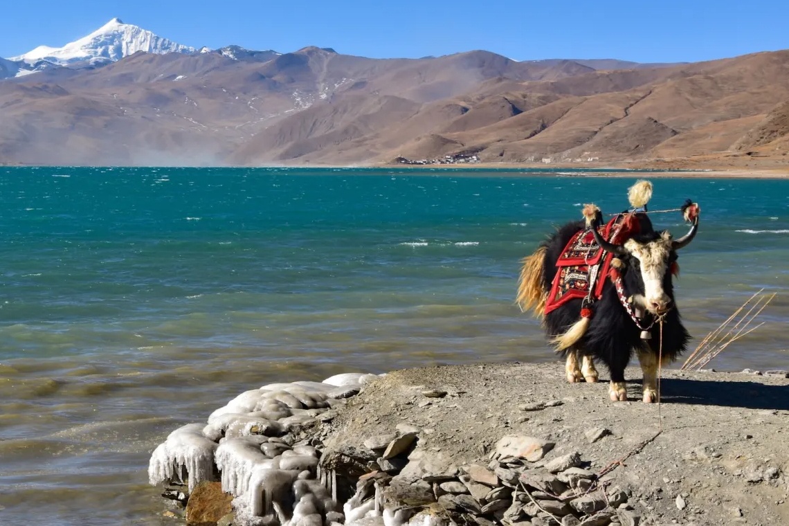 Nhung ho nuoc ngay cang 'phinh to' o Tay Tang hinh anh