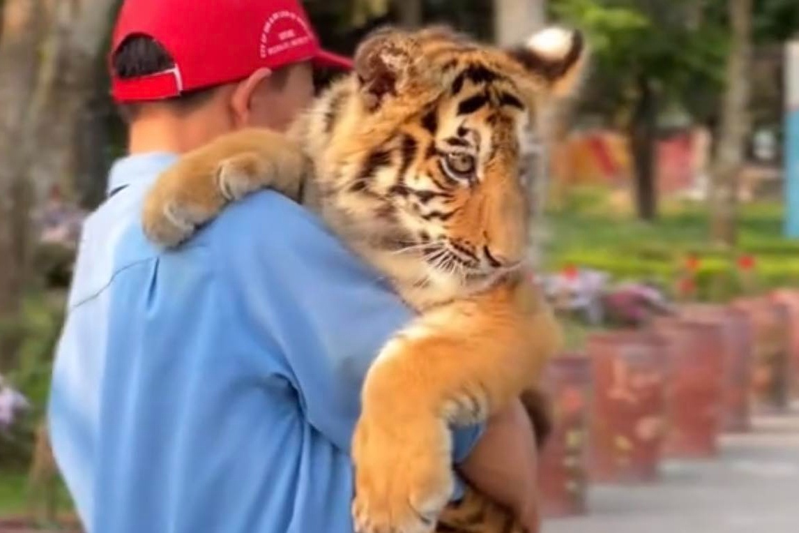 Xu ly khu du lich cho khach be ho nhu thu cung hinh anh