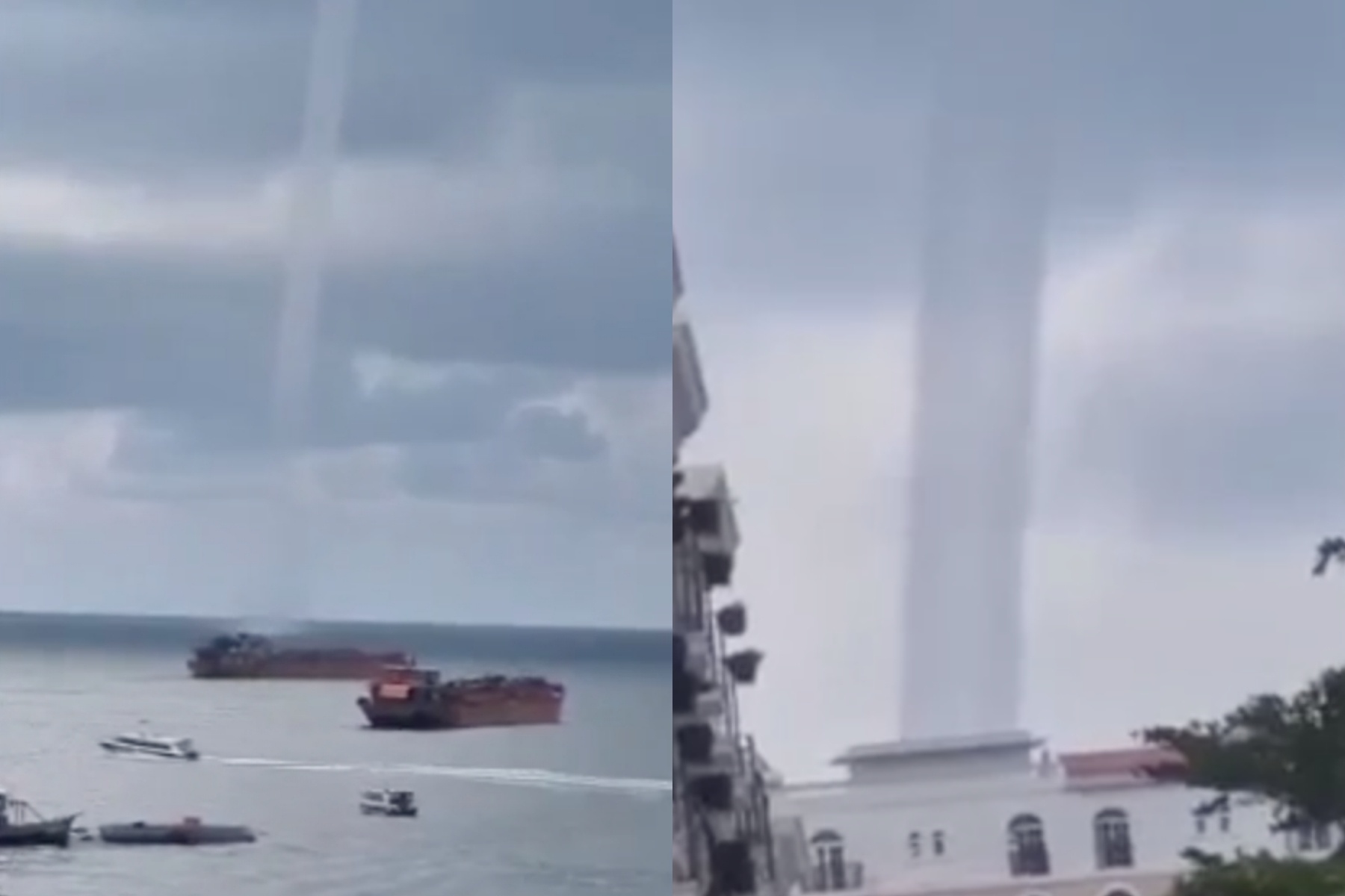 Voi rong cao hang tram met xuat hien o Phu Quoc hinh anh