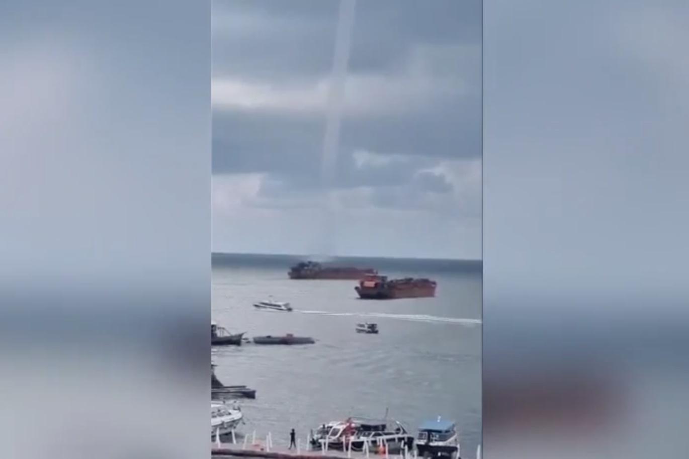 Voi rong xuat hien o bien Phu Quoc ngay 18/4 hinh anh