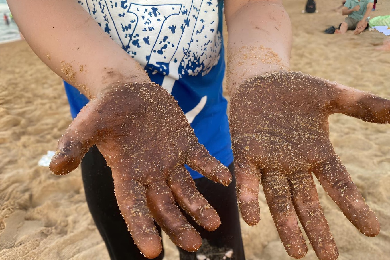 Dau von cuc dinh day nguoi tam bien o Phu Yen hinh anh