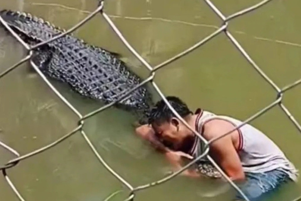 Bi tan cong vi nham ca sau la tuong o Philippines hinh anh