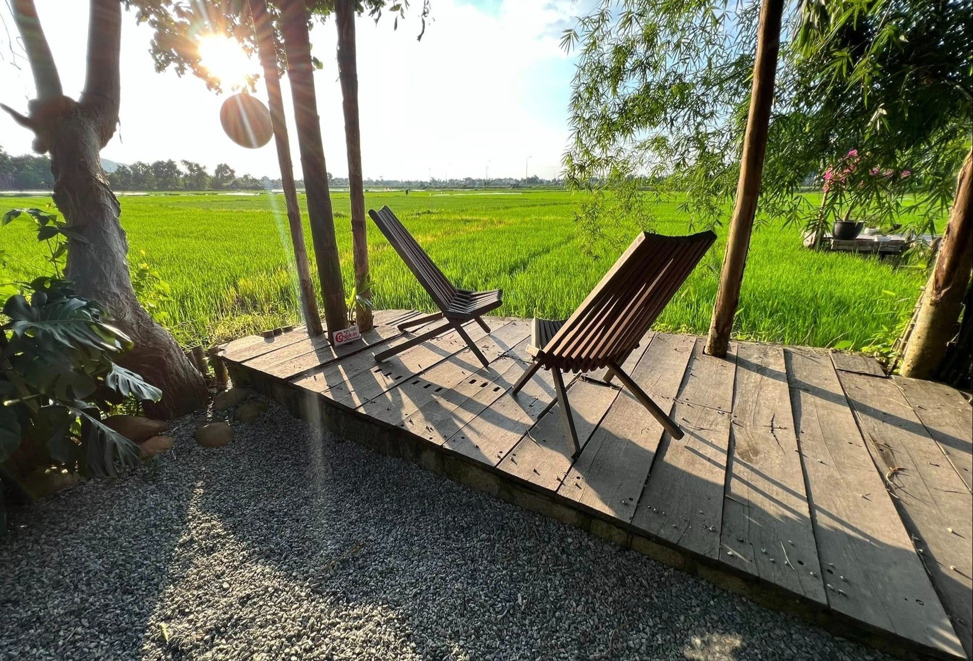 Quan ca phe view canh dong o Hue hinh anh