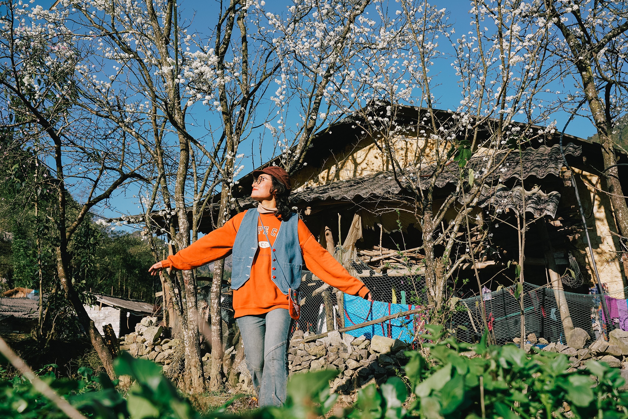 song nhu ke du muc anh 15