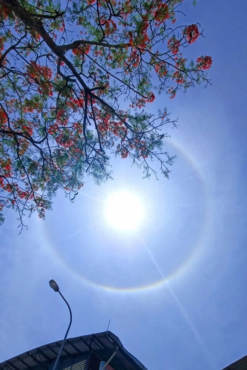 Hien tuong quang mat troi anh 2