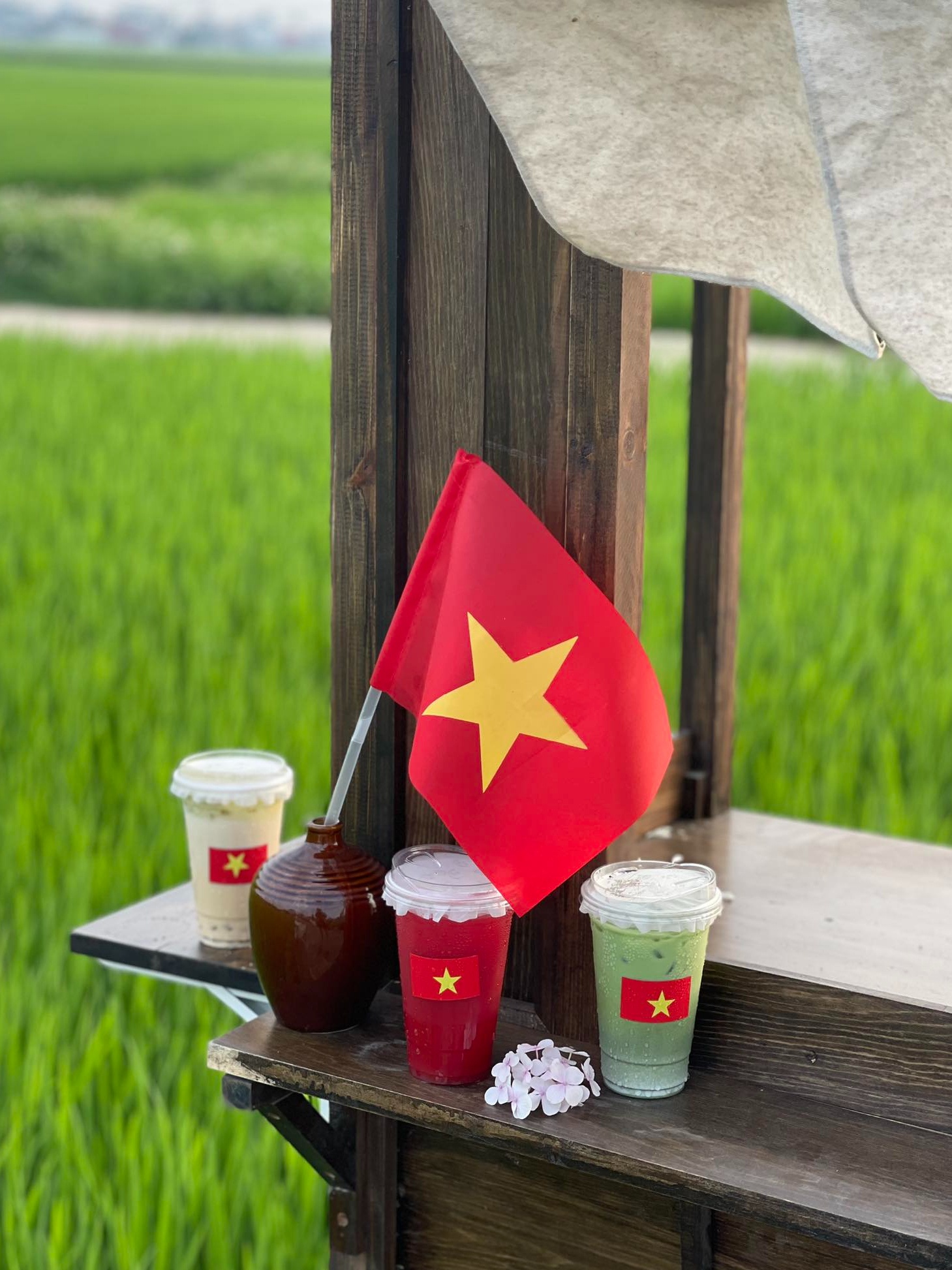 Thai Binh anh 2
