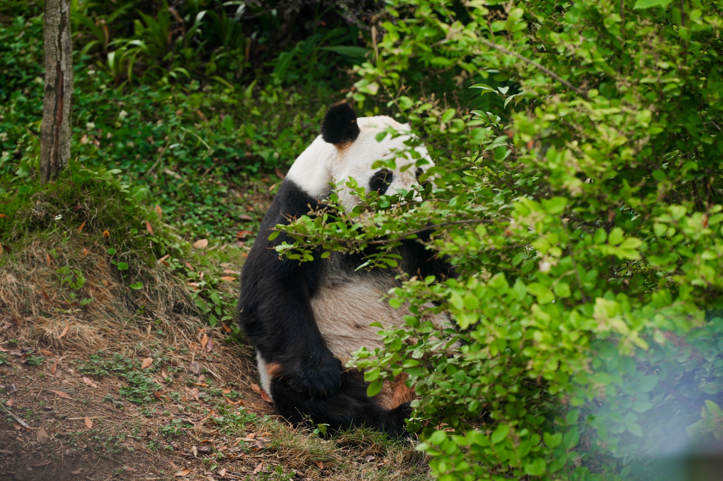 Du lich Trung Quoc anh 9