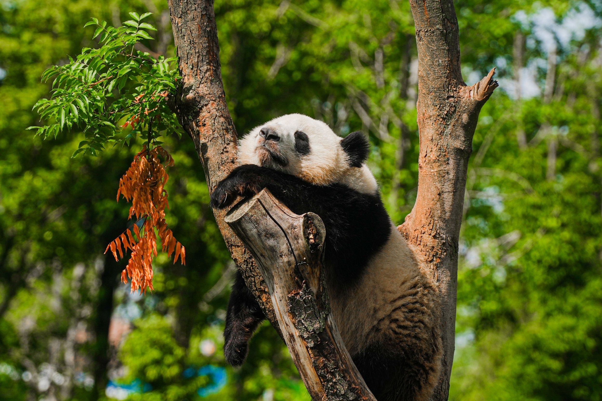 Du lich Trung Quoc anh 7