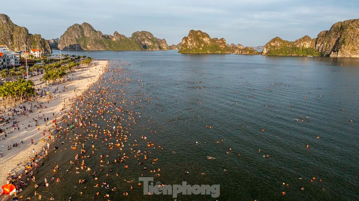 TP Ha Long anh 2