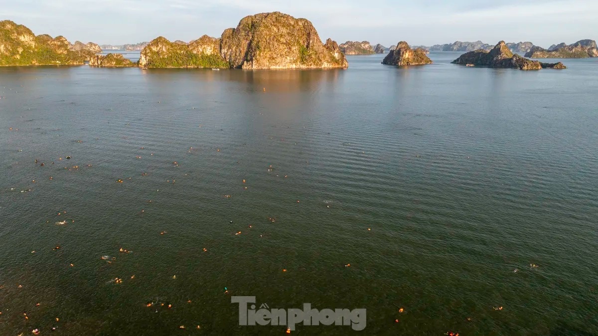 TP Ha Long anh 6