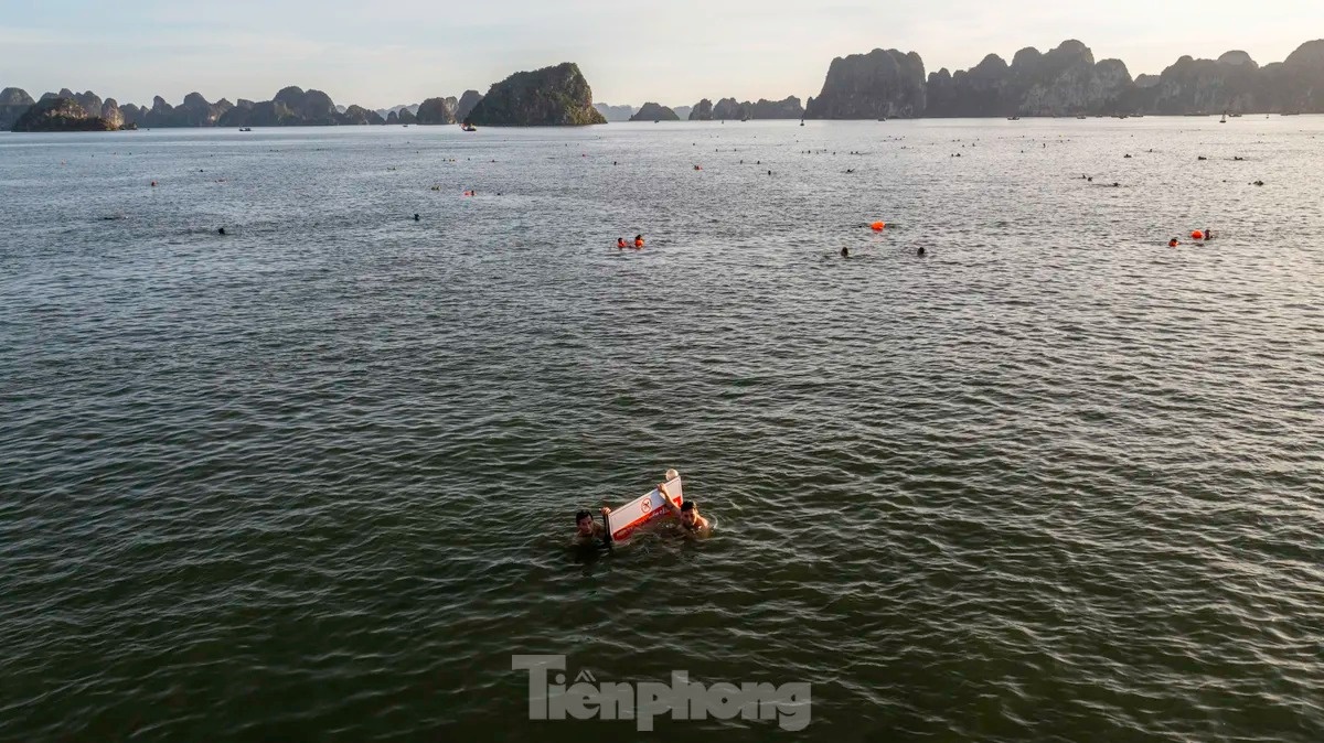 TP Ha Long anh 8