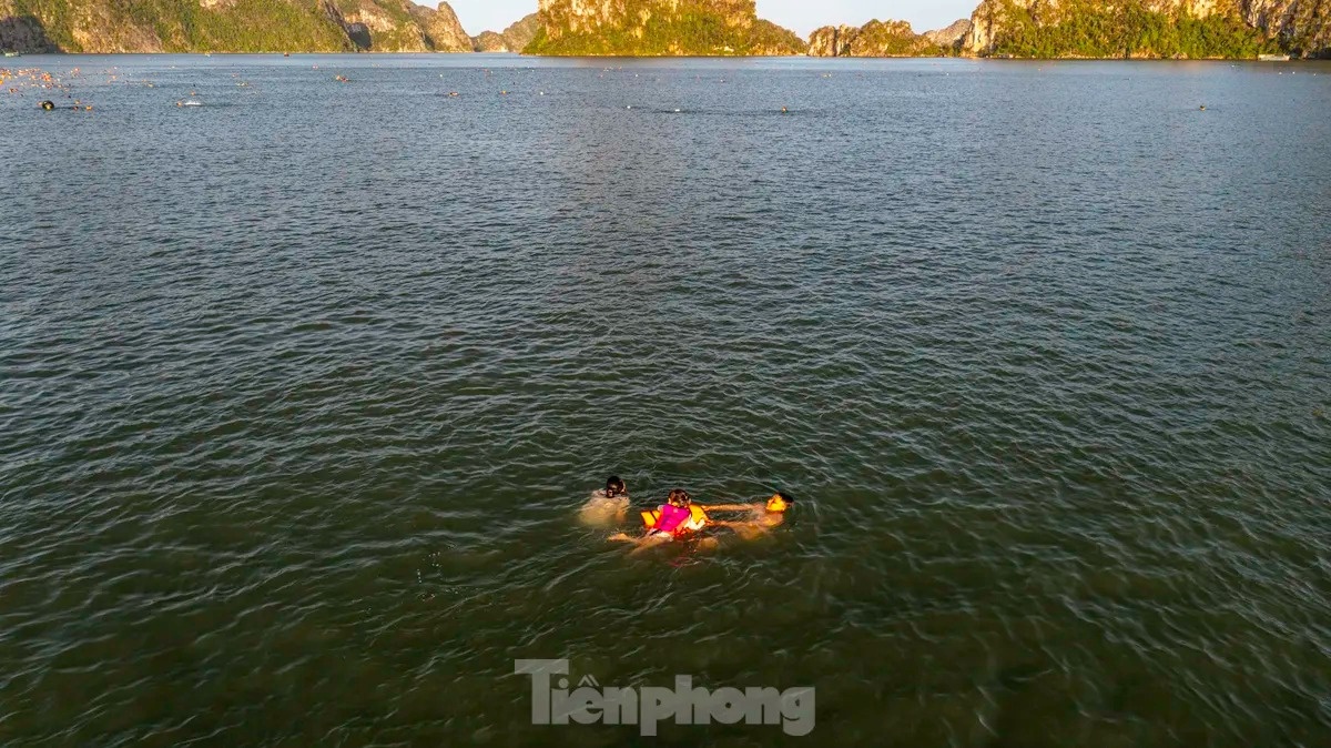 TP Ha Long anh 9