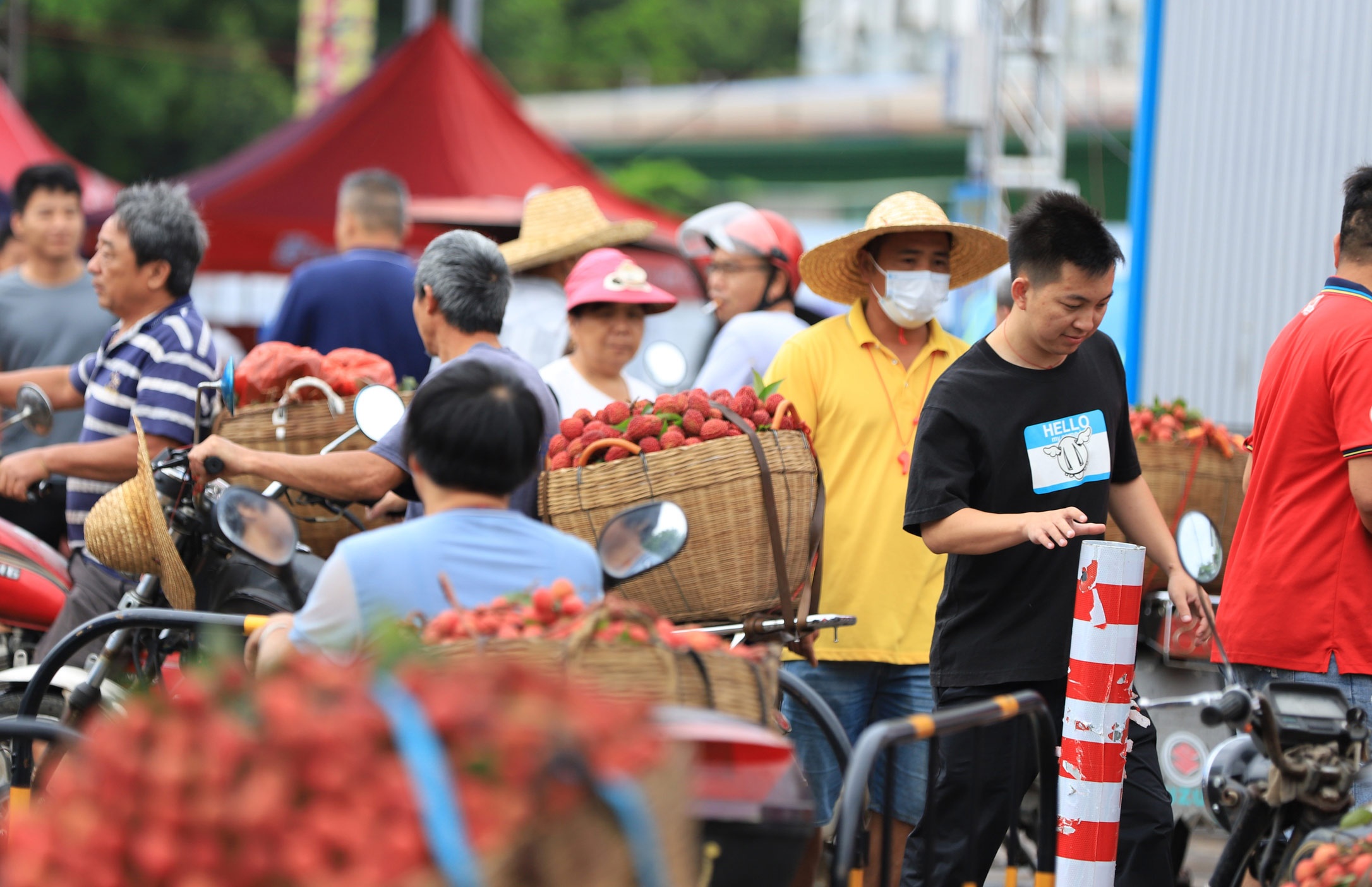 Gia qua vai re hon cong hai o Trung Quoc hinh anh
