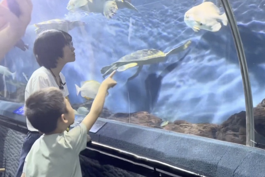 Buc thu gay 'sot' cua cau be ve nhung con ca bien mat trong thuy cung hinh anh