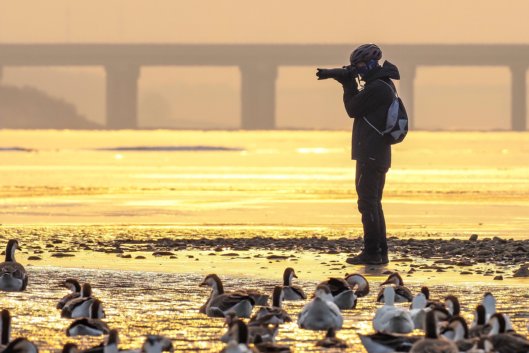 Gen Z 'sanh dieu' Trung Quoc do xo di ngam chim hinh anh