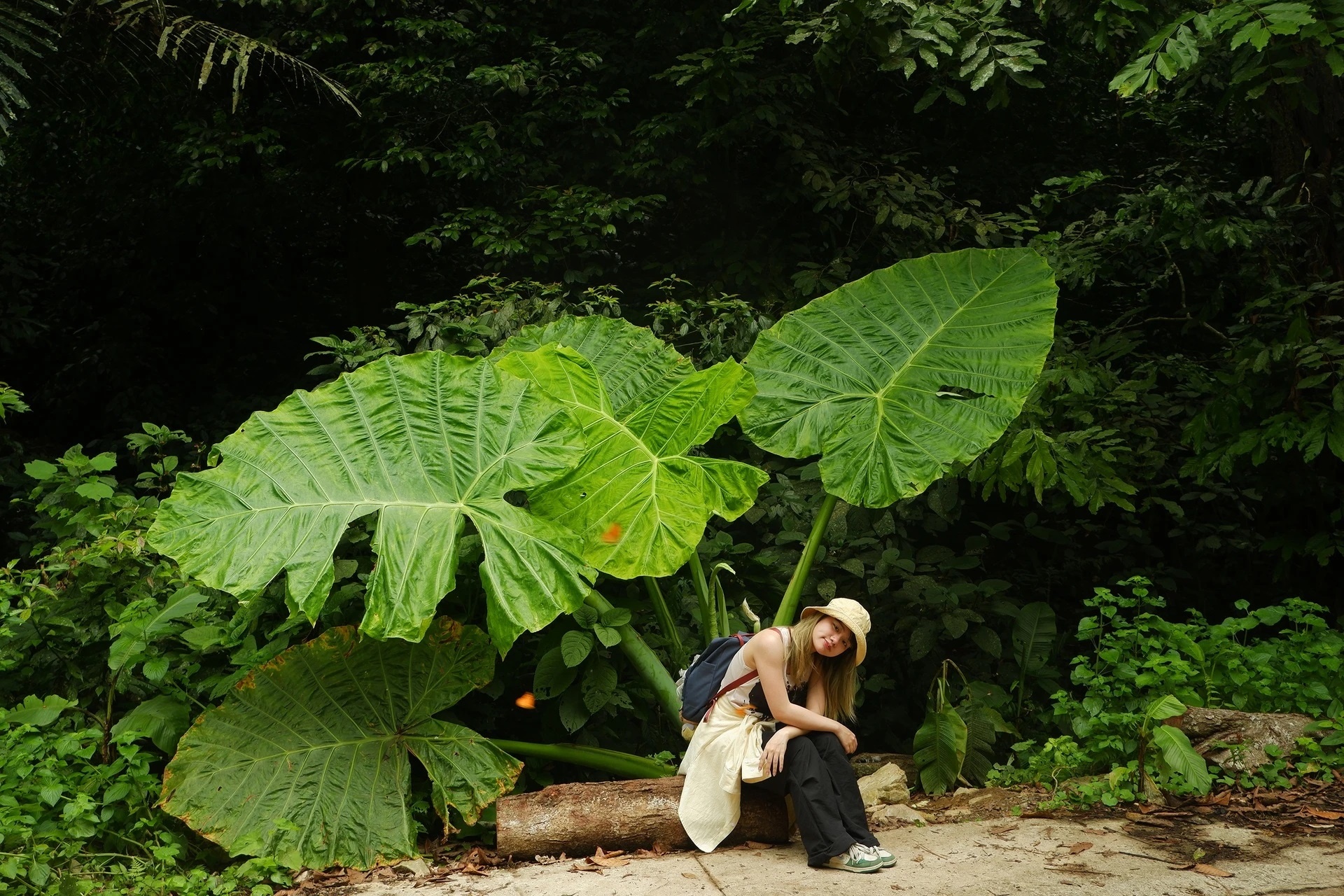 Ninh Binh canh bao sau vu du khach tu vong trong rung Cuc Phuong hinh anh