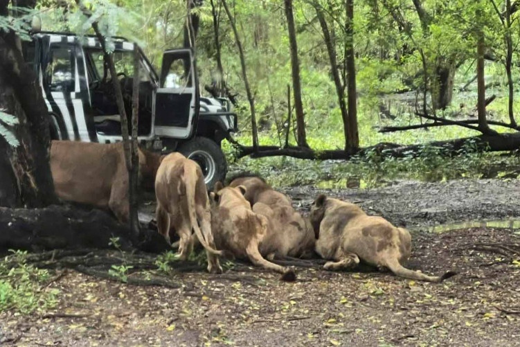 Nhan vien so thu Thai Lan bi dan su tu can xe truoc mat du khach hinh anh