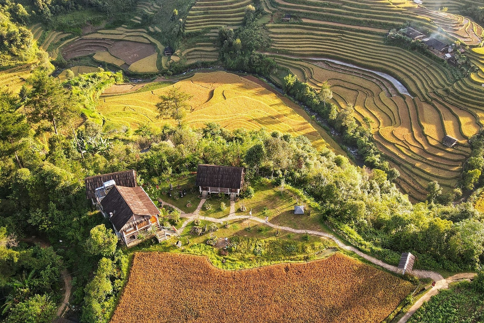 Mu Cang Chai anh 8