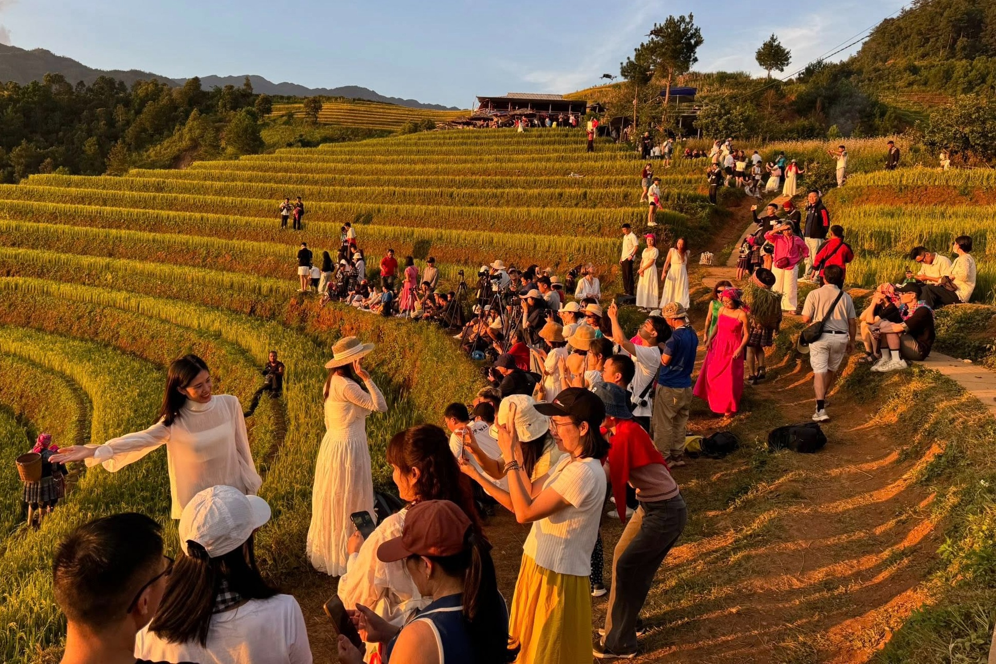 Mu Cang Chai anh 1