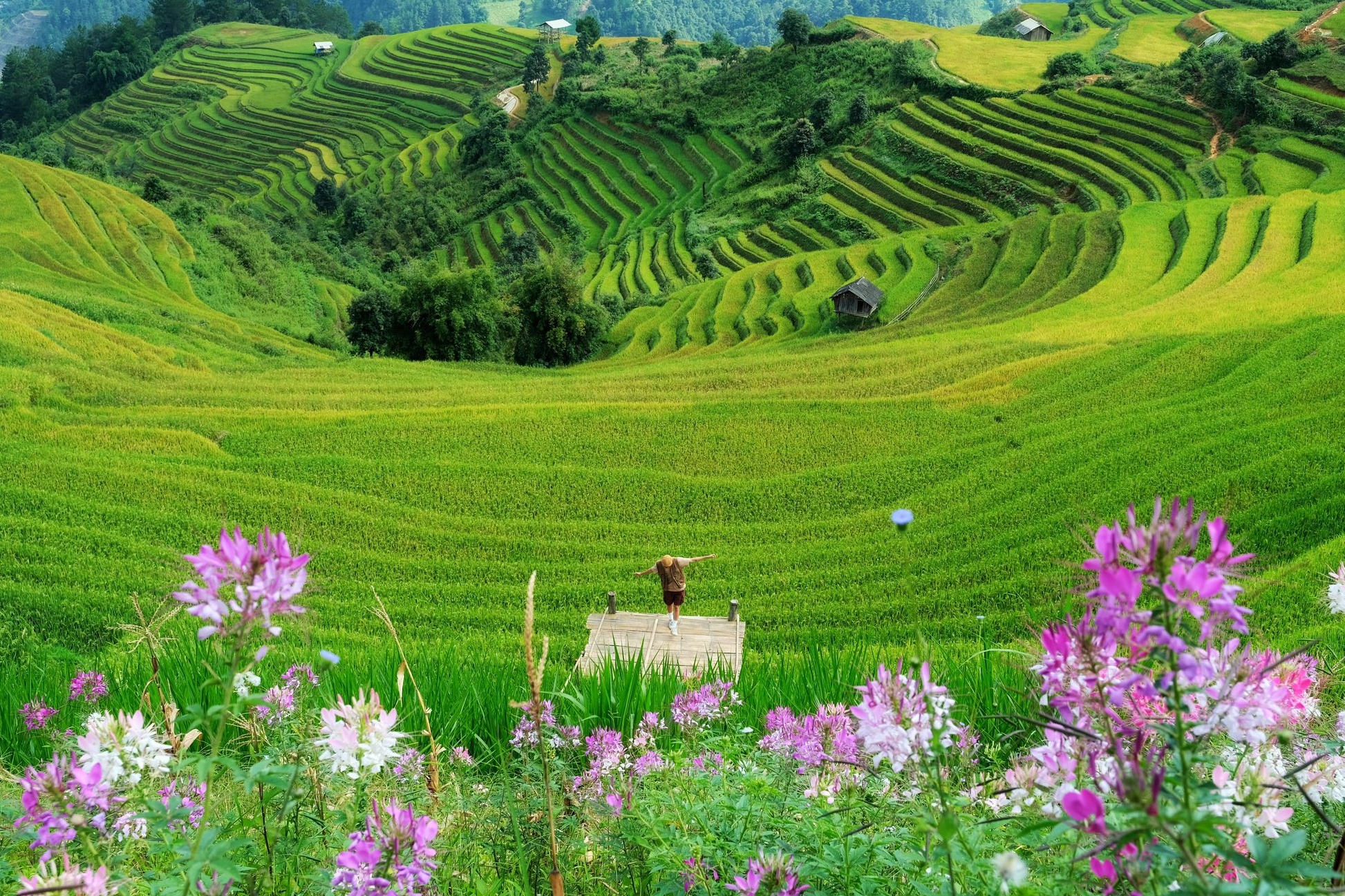 Mu Cang Chai anh 6