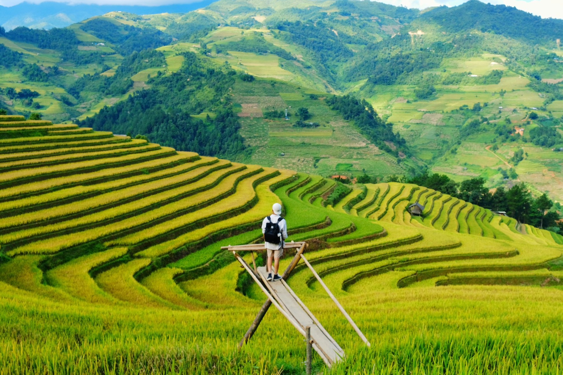 Mu Cang Chai anh 4