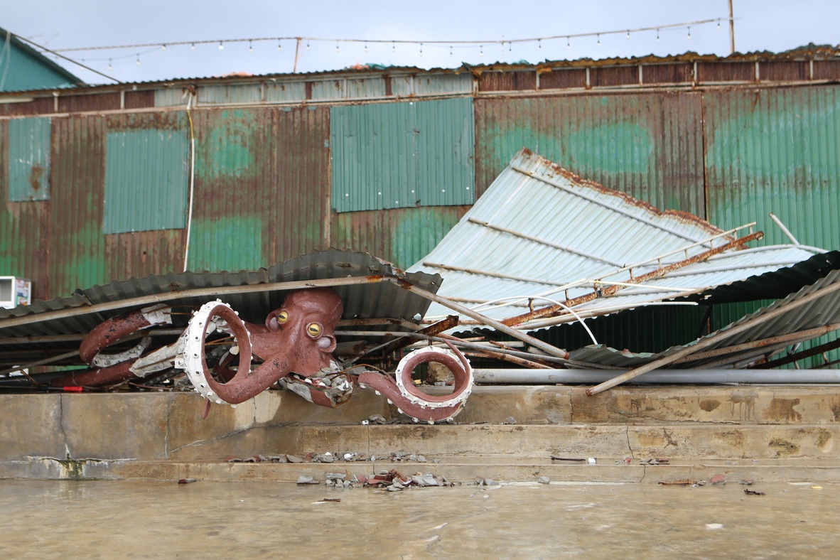 Nha hang Ha Tinh lien tuc chong bao hinh anh