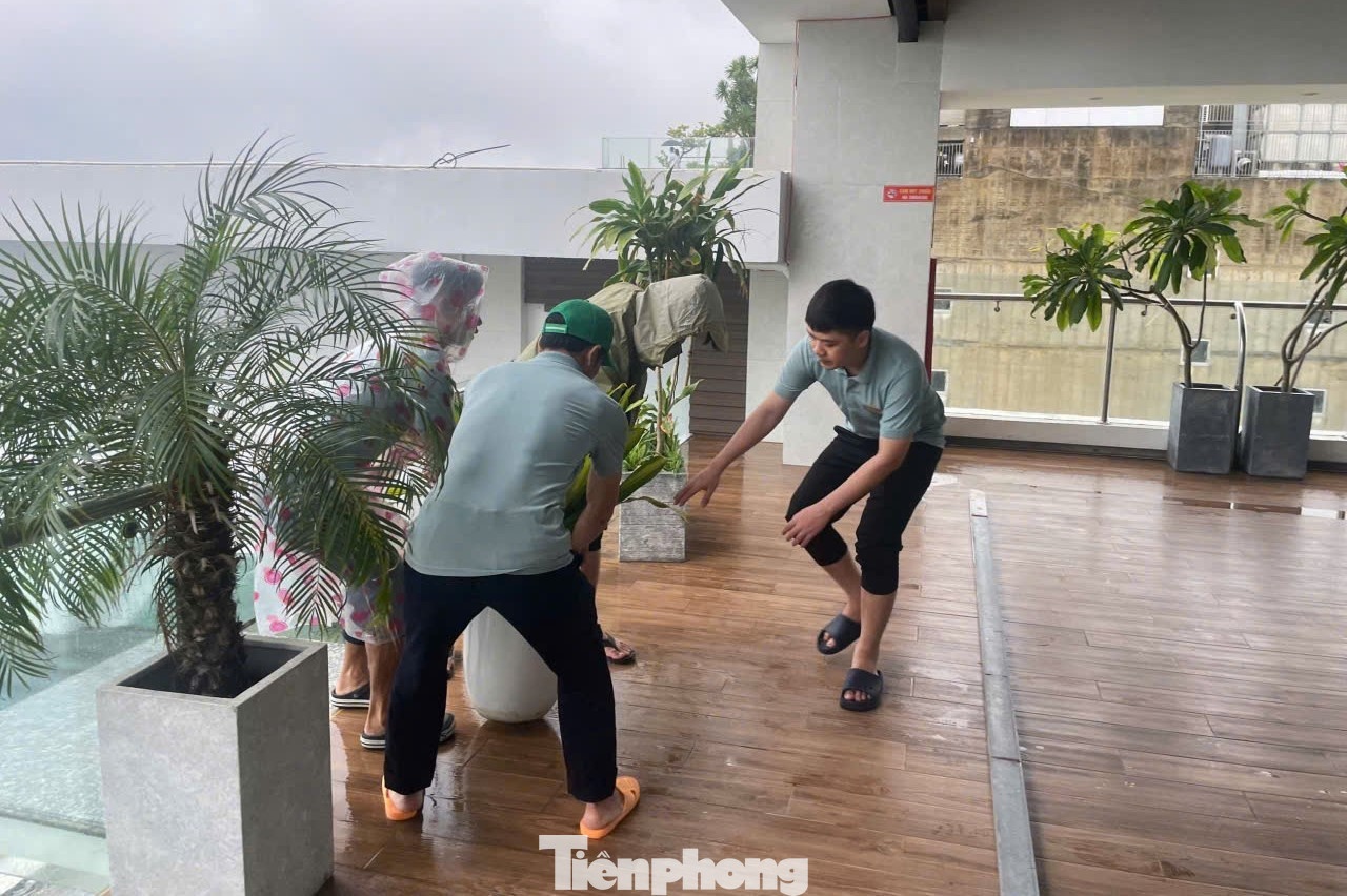 Đà Nẵng ảnh 14 Da Nang anh 14