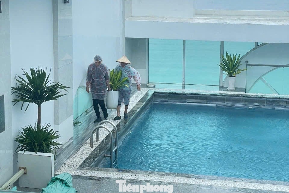 Đà Nẵng ảnh 15 Da Nang anh 15