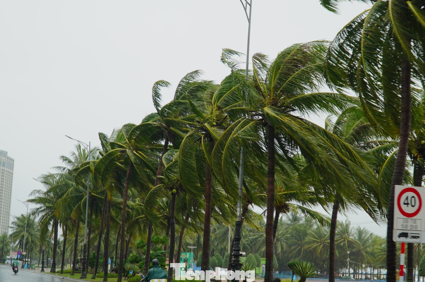 Đà Nẵng ảnh 18 Da Nang anh 18