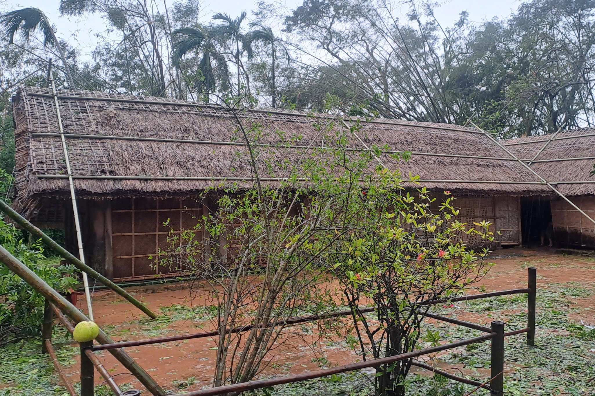 Tai nha Bac Ho, noi duoc bao ve vung vang qua bao Bualoi hinh anh