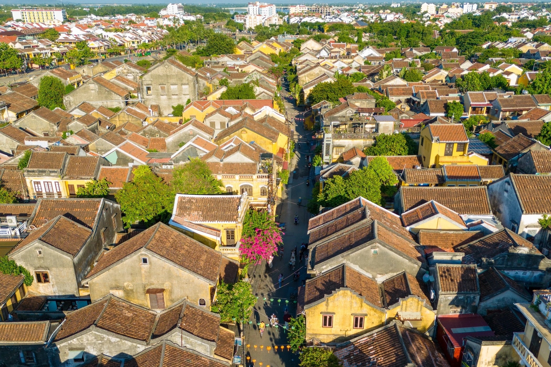 Hoi An anh 1
