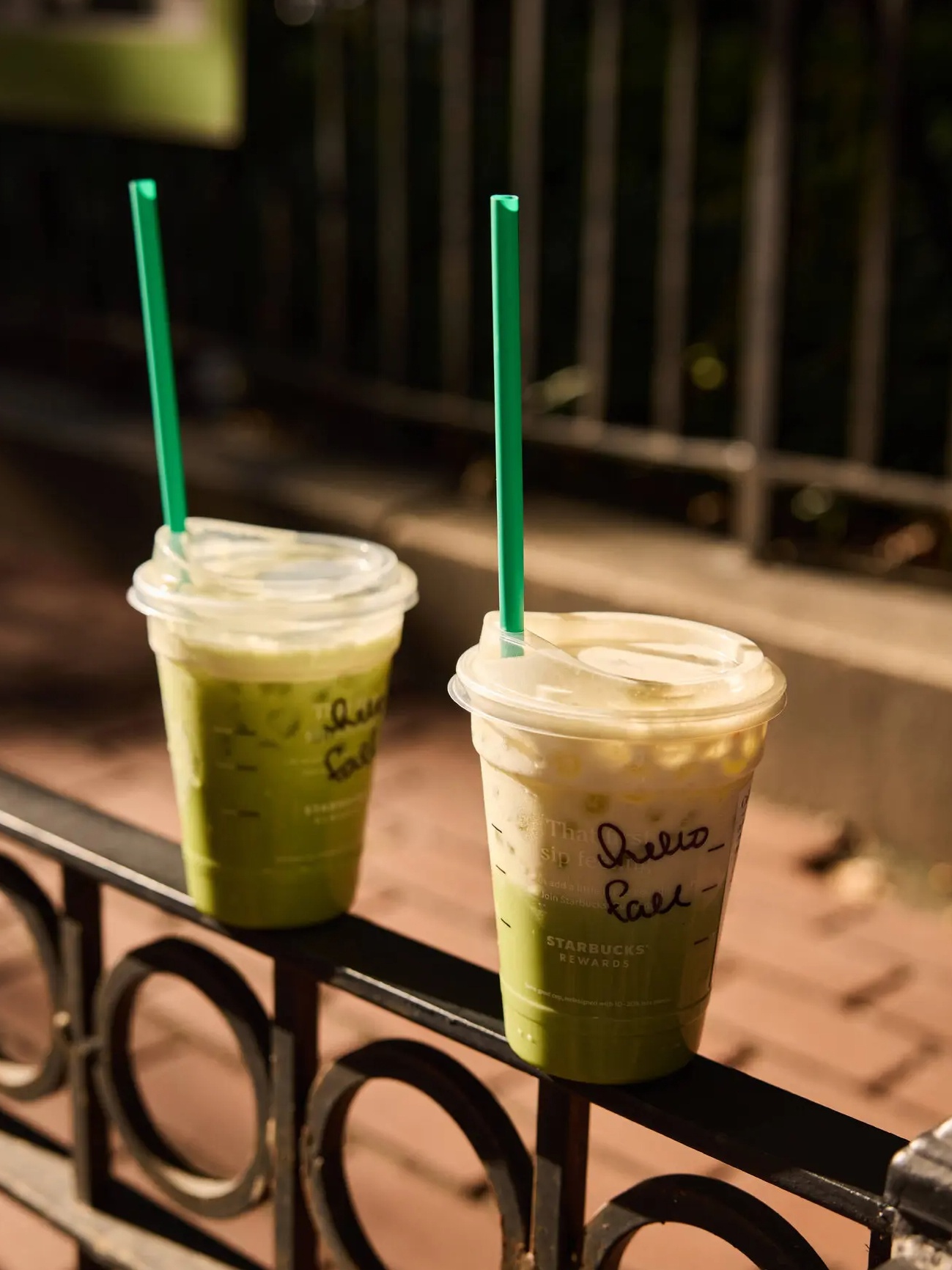 Matcha anh 1