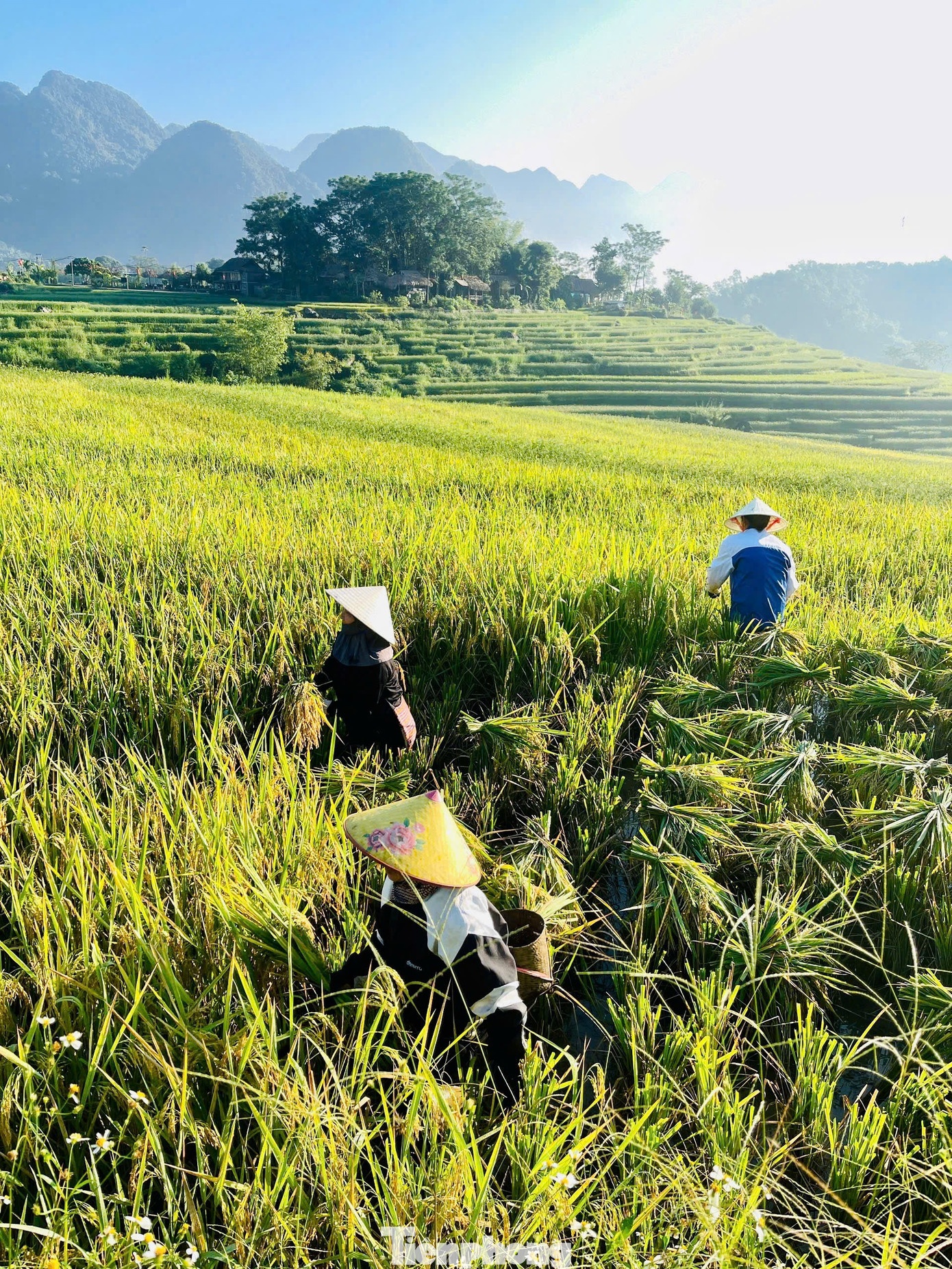 Pù Luông ảnh 11 Pu Luong anh 11