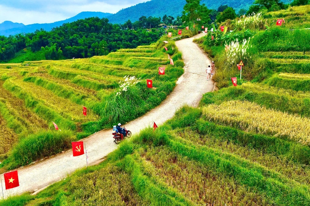 Cung duong chu S giua 'rung co' Thanh Hoa mua dep nhat nam hinh anh