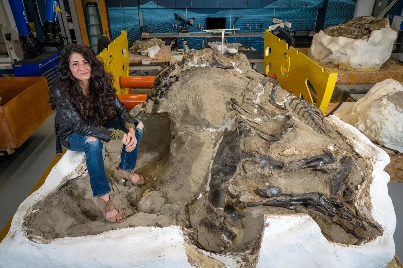 Khủng long ảnh 2 Khung long anh 2