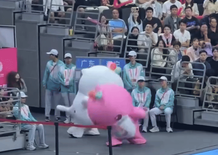 Linh vat ca heo 'gay bao' tai Dai hoi The thao Trung Quoc hinh anh