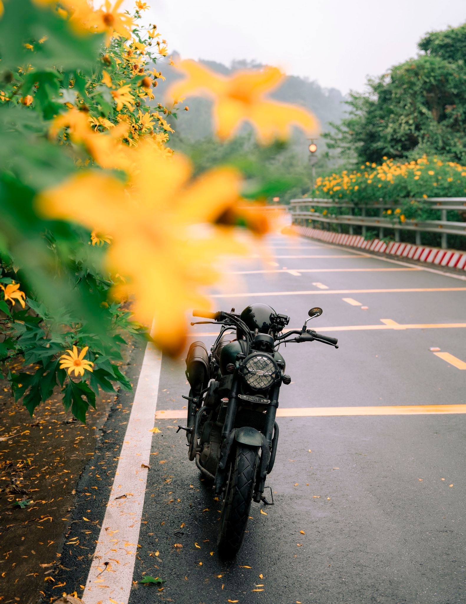 Photo Ba Vi 4 Ba Vi anh 4