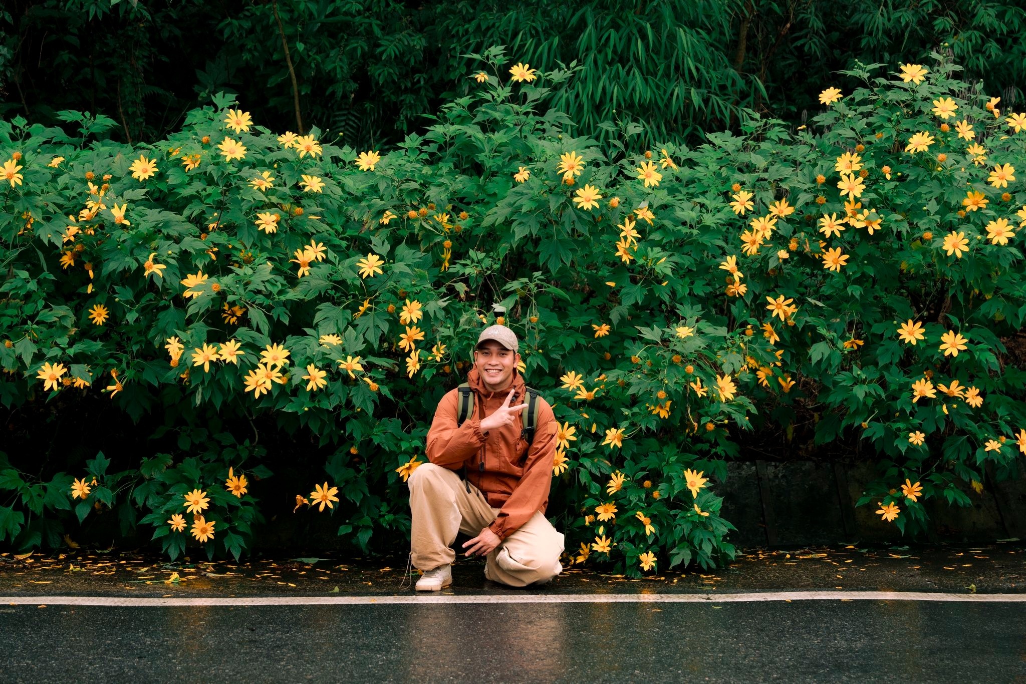 Photo Ba Vi 3 Ba Vi anh 3